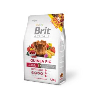 Animals Guinea Pig 1,5 kg