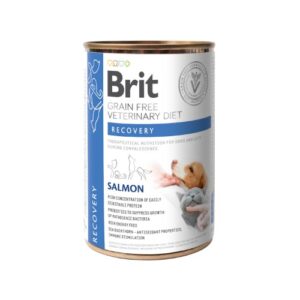 BRIT VD Dog + Cat Can - Recovery 400 g