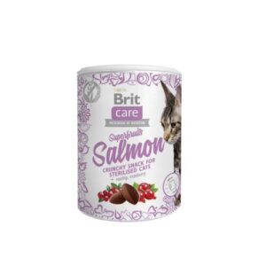 BC Cat Snack Superfruits Salmon 100 g