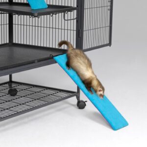 Ferret Nation Exterior Ramp