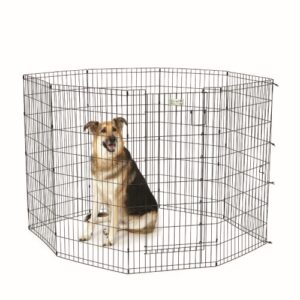 48" LS Black Exercise Pen w/Full MAX Lock Door