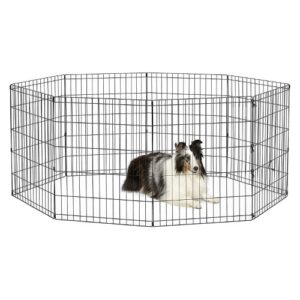 30" New World - Black Exercise Pen