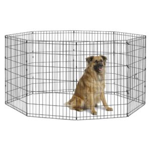 36" New World - Black Exercise Pen