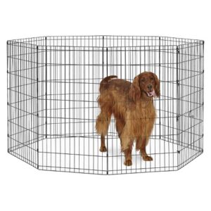 42" New World - Black Exercise Pen